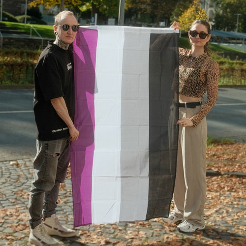 Asexual Pride Flagge – 90×150 cm Stofffahne mit Ösen für CSD & Festival