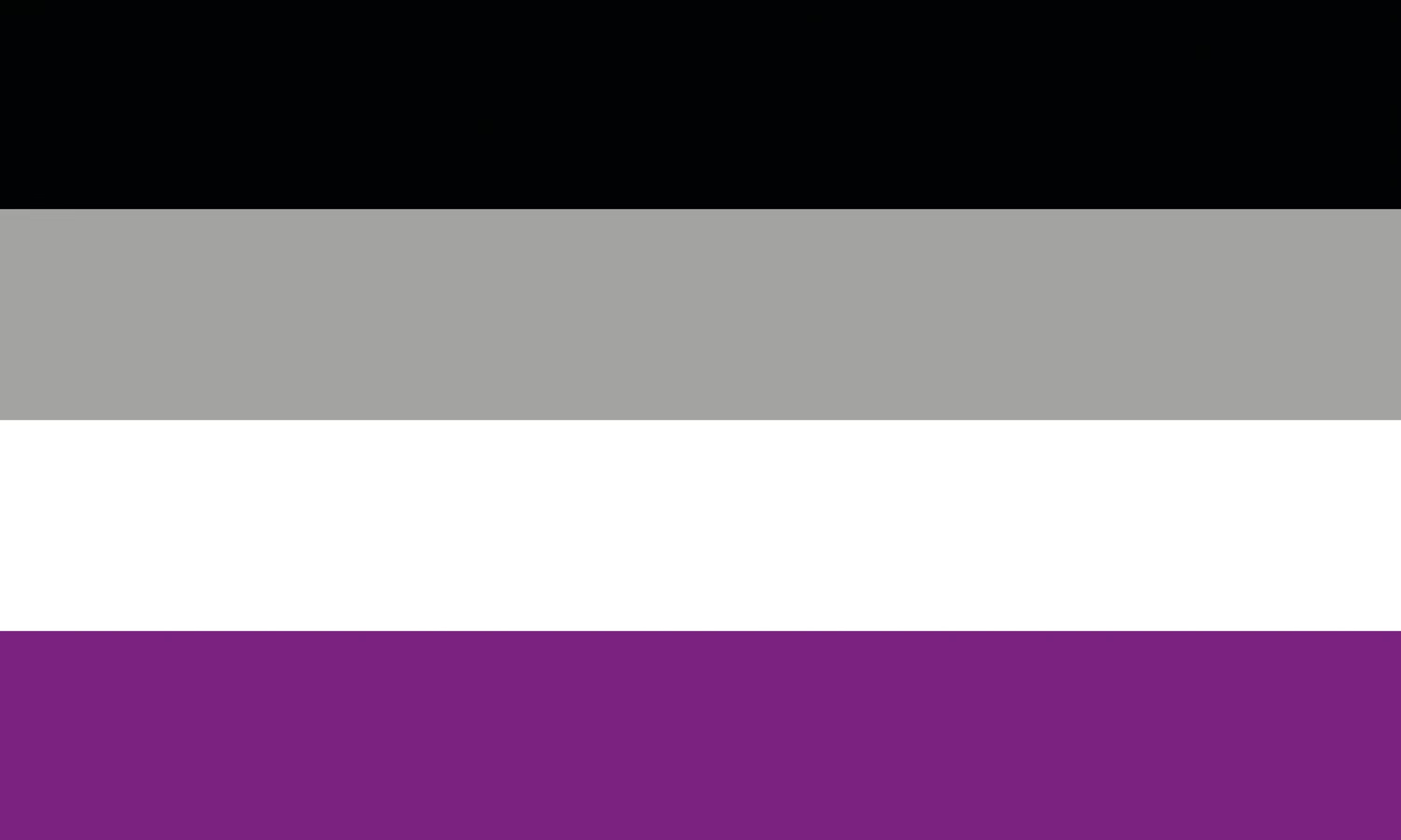 Asexual Pride Flagge – 90×150 cm Stofffahne mit Ösen für CSD & Festival