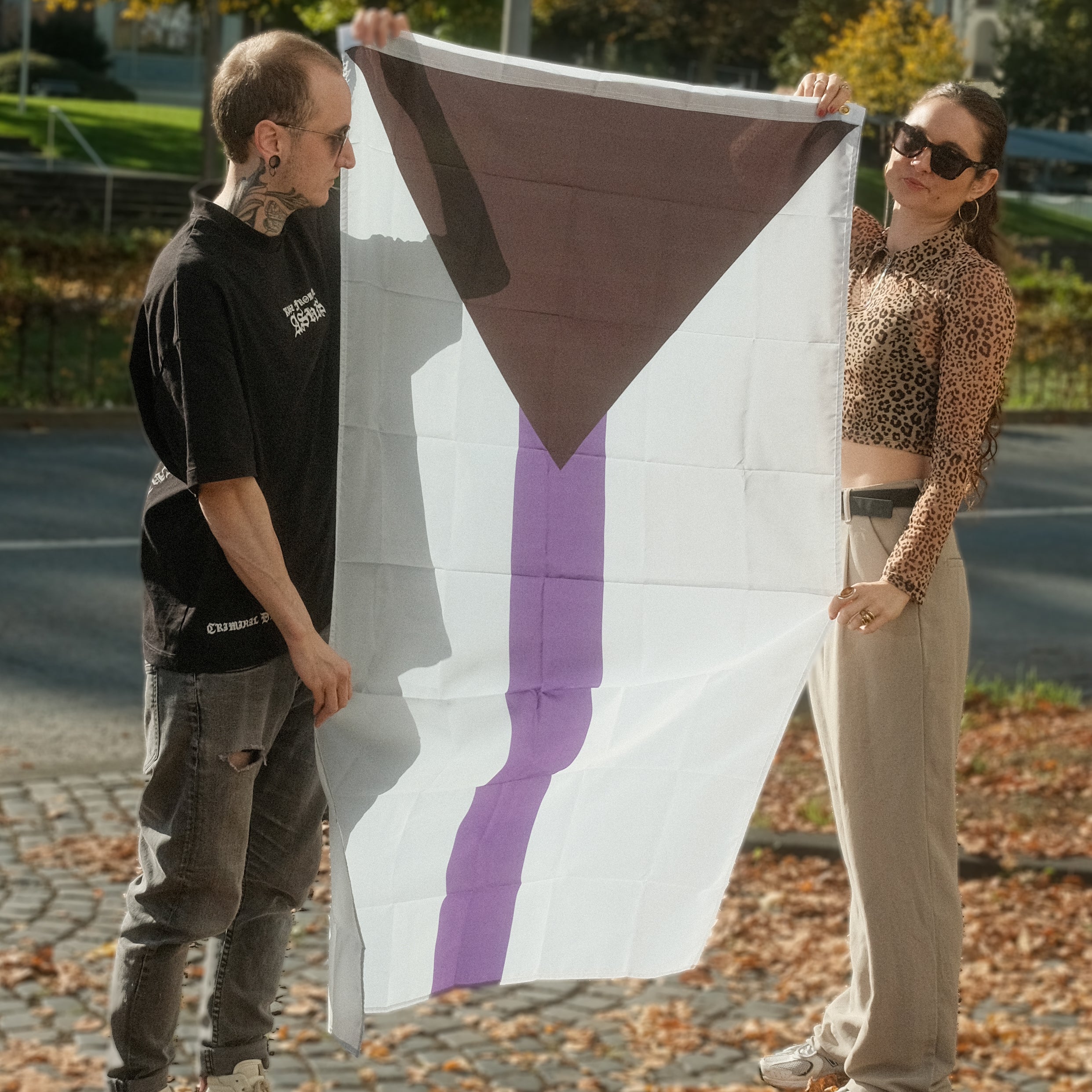 Demisexual Pride Flagge – 90×150 cm Stofffahne mit Ösen für CSD & Festival