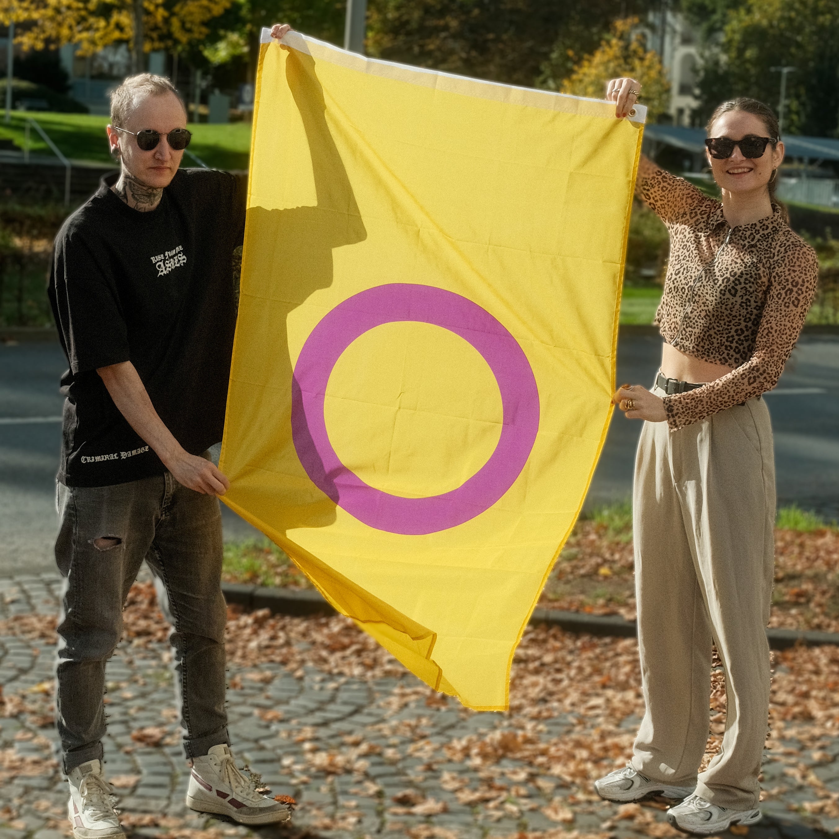 Intersex Pride Flagge – 90×150 cm Stofffahne mit Ösen für CSD & Festival