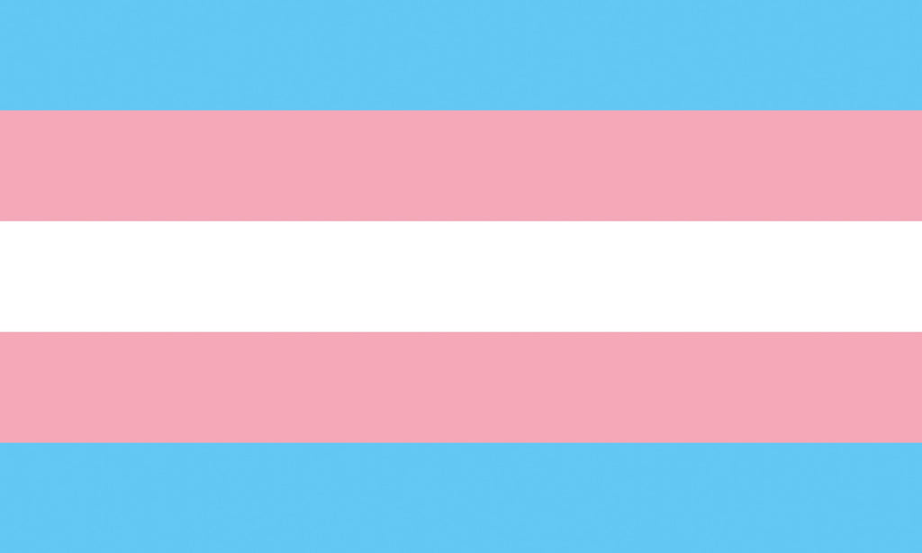Transgender Pride Flagge – 90×150 cm Stofffahne mit Ösen für CSD & Festival