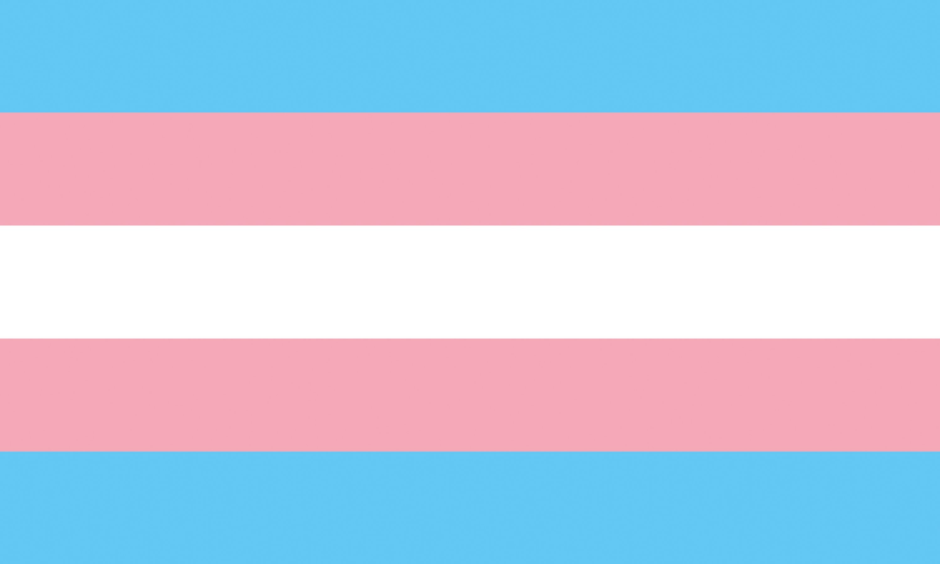 Transgender Pride Flagge – 90×150 cm Stofffahne mit Ösen für CSD & Festival