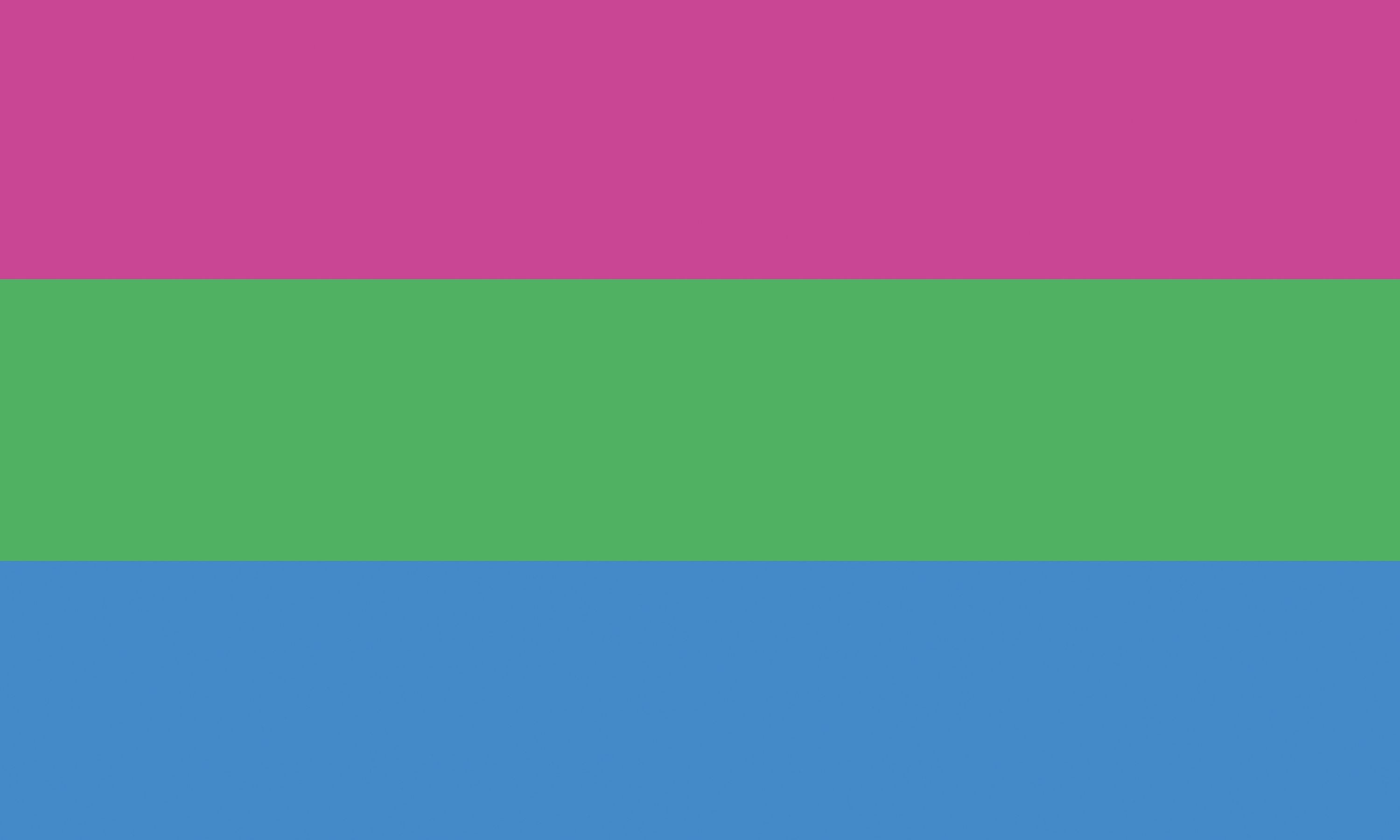 Polysexual Pride Flagge – 90×150 cm Stofffahne mit Ösen für CSD & Festival