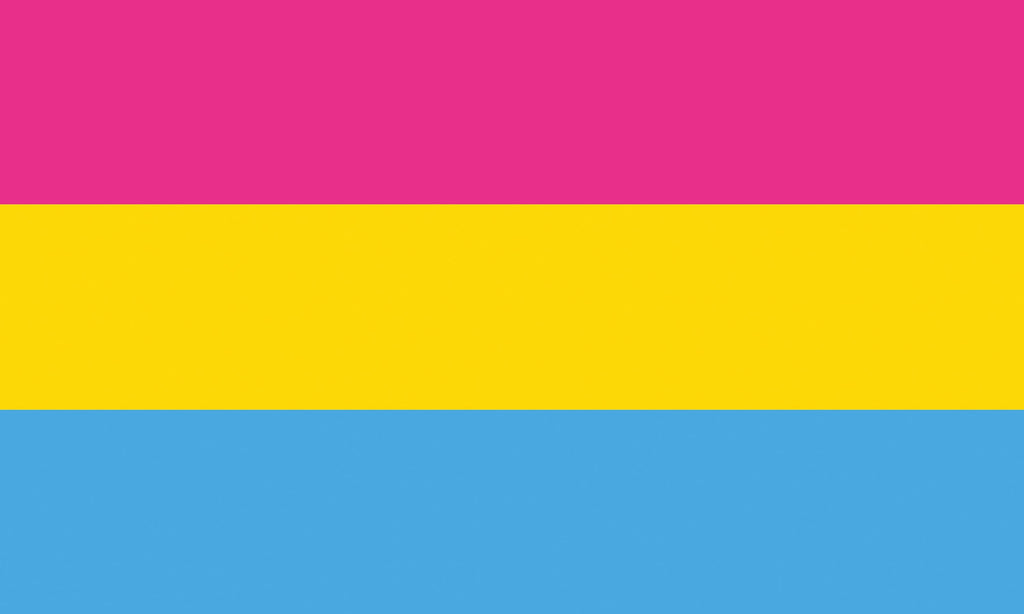 Pansexual Pride Flagge – 90×150 cm Stofffahne mit Ösen für CSD & Festival