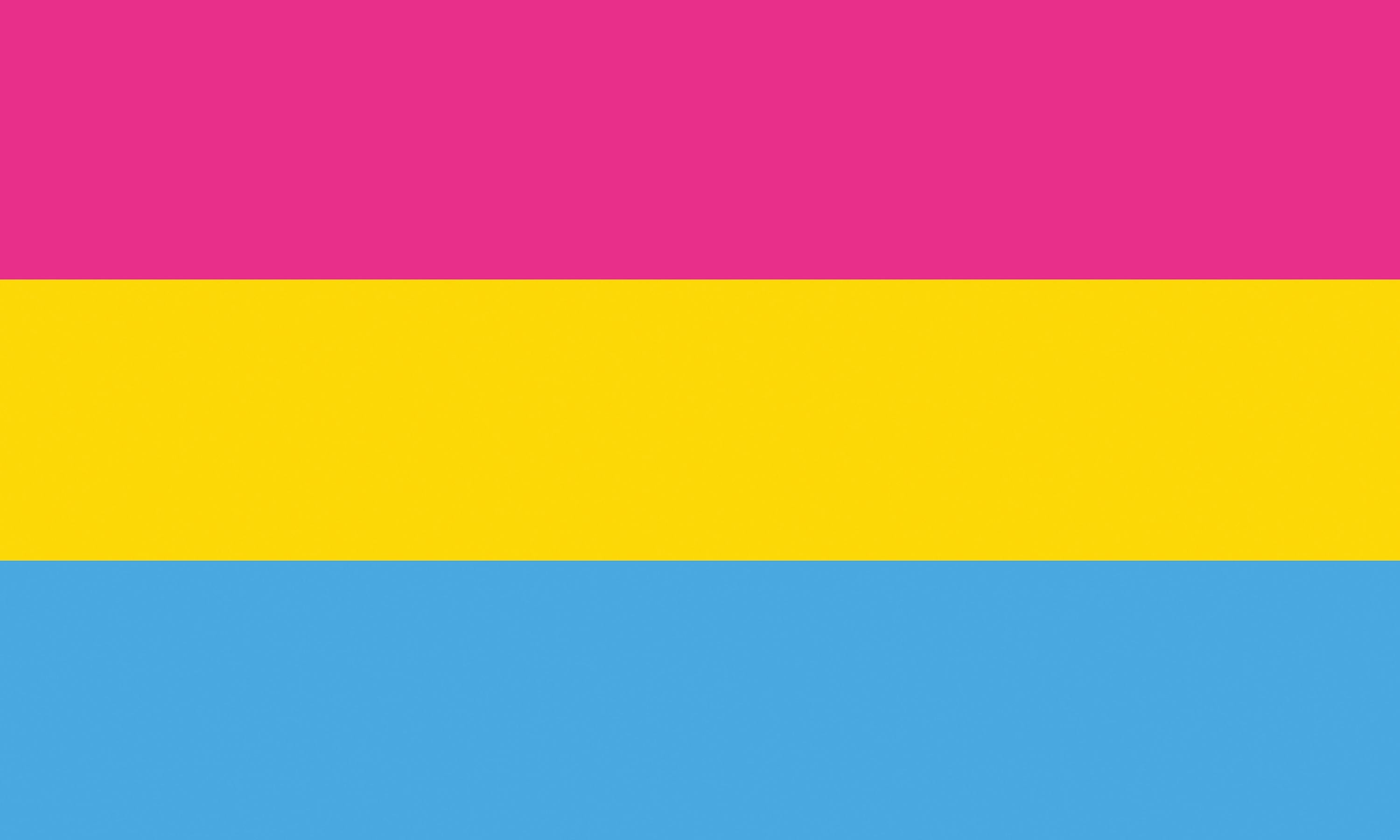 Pansexual Pride Flagge – 90×150 cm Stofffahne mit Ösen für CSD & Festival