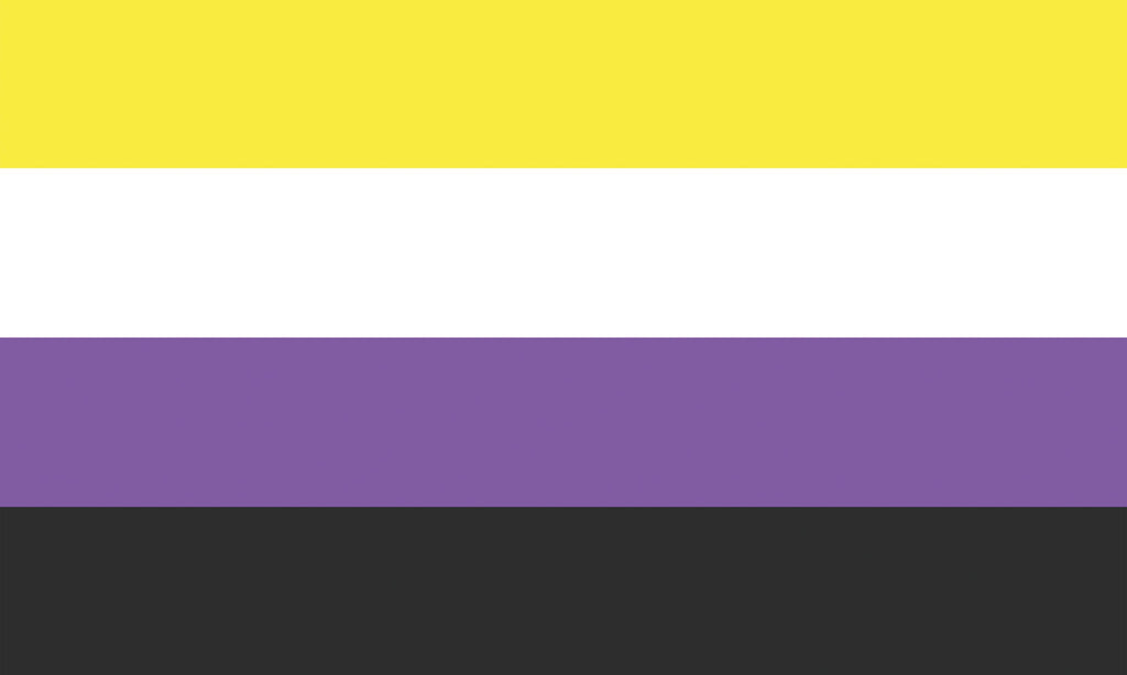 Nonbinary Pride Flagge – 90×150 cm Stofffahne mit Ösen für CSD & Festival