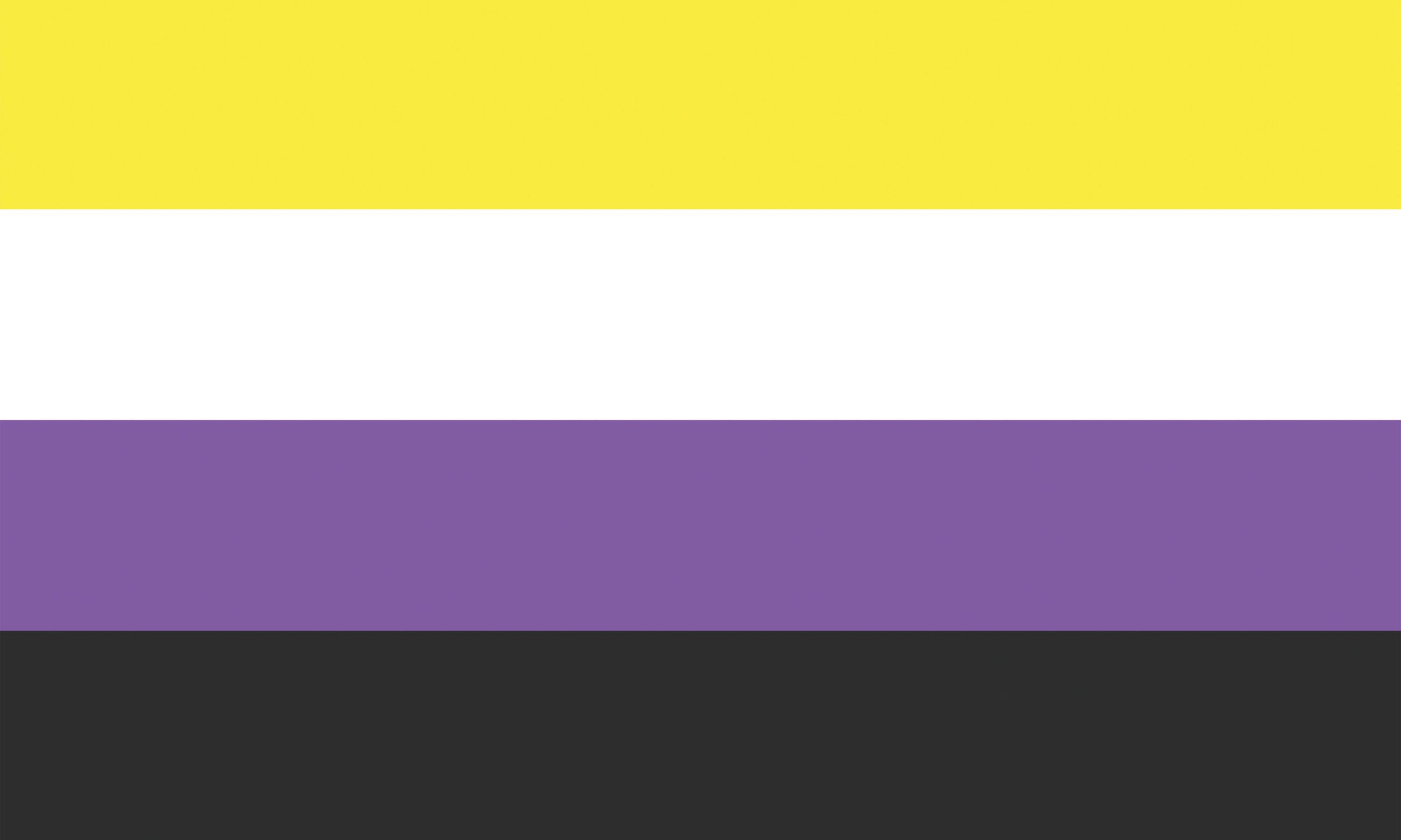 Nonbinary Pride Flagge – 90×150 cm Stofffahne mit Ösen für CSD & Festival