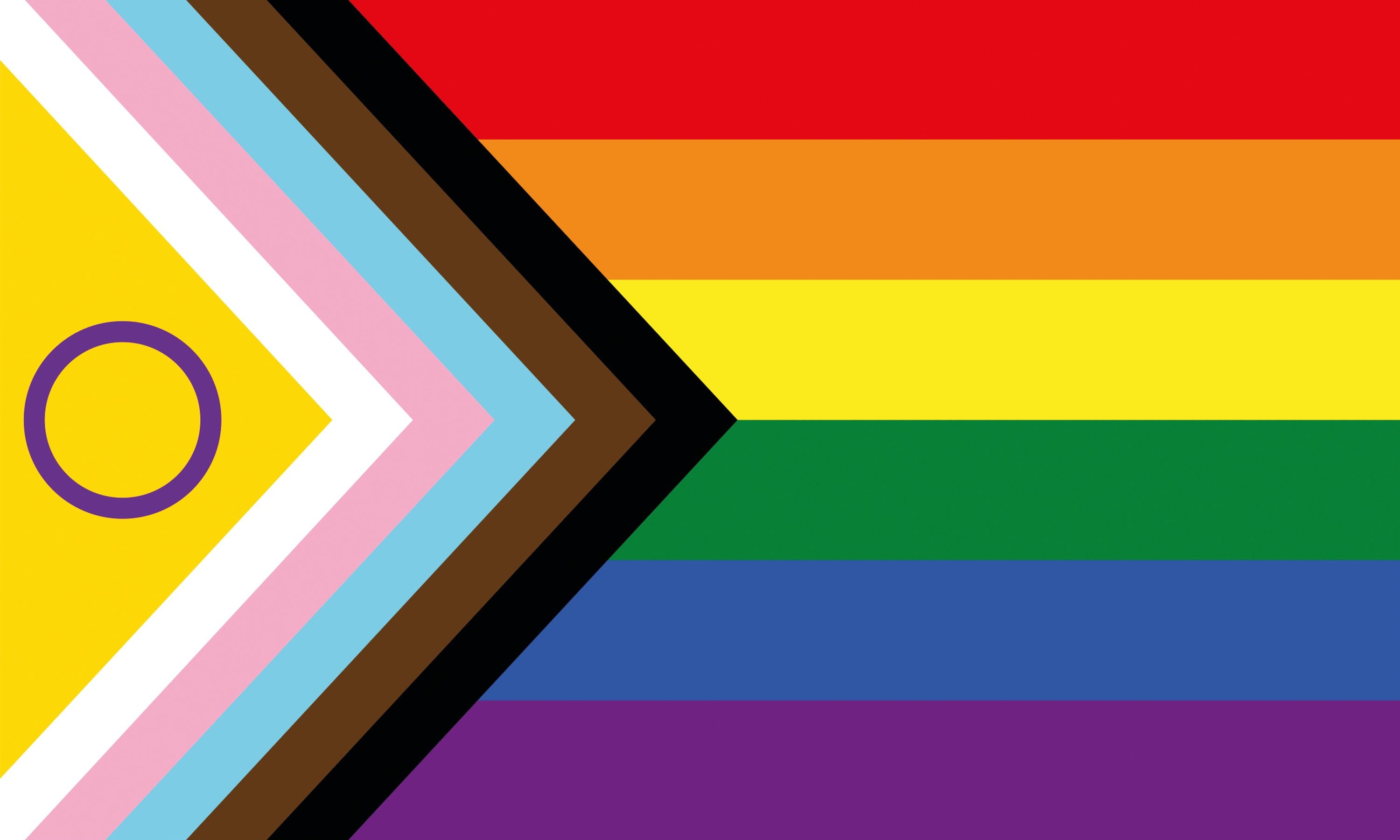 Intersex-Inclusive Pride Flagge – 90×150 cm Stofffahne mit Ösen für CSD & Festival