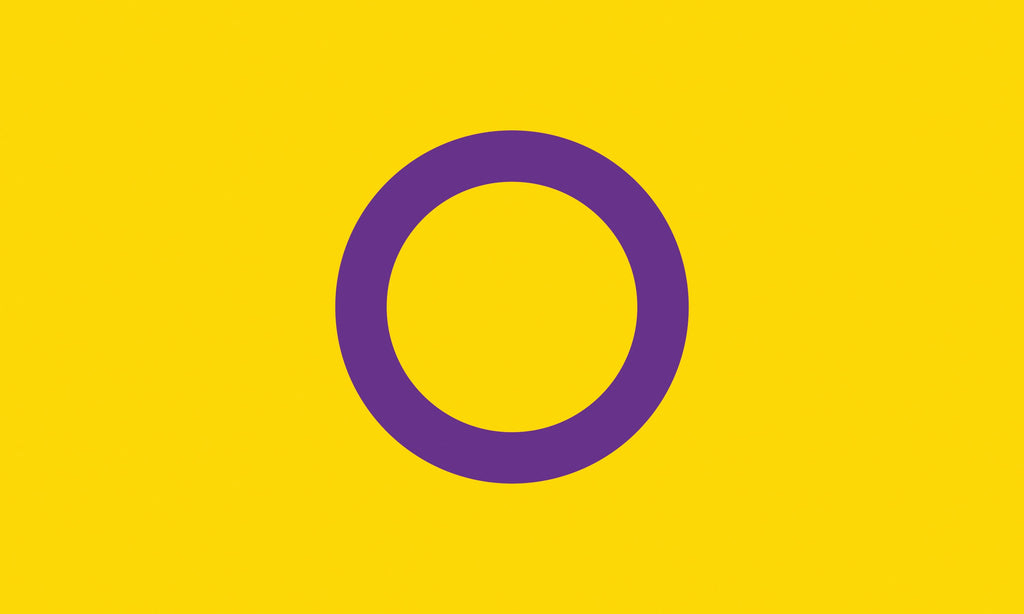 Intersex Pride Flagge – 90×150 cm Stofffahne mit Ösen für CSD & Festival