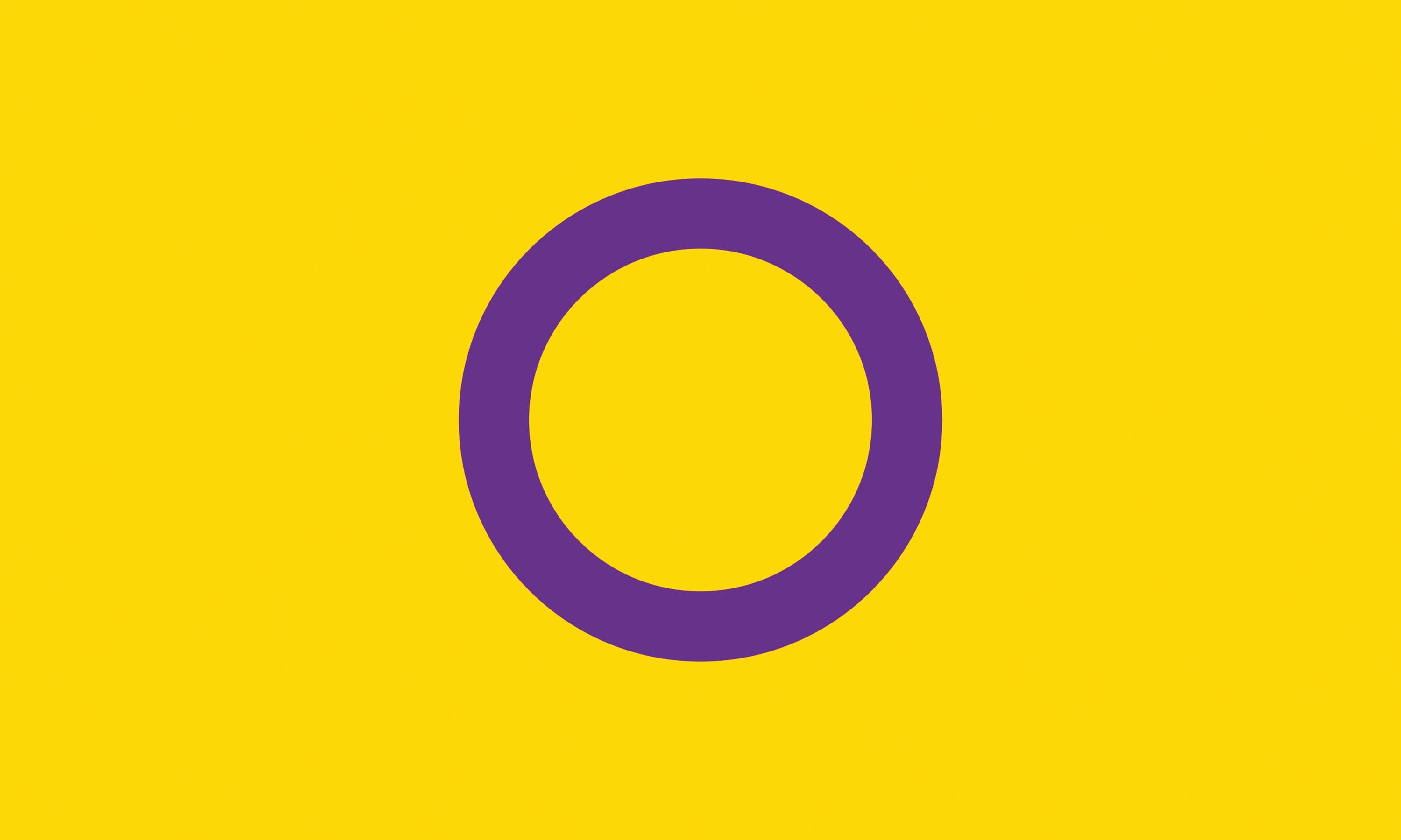Intersex Pride Flagge – 90×150 cm Stofffahne mit Ösen für CSD & Festival