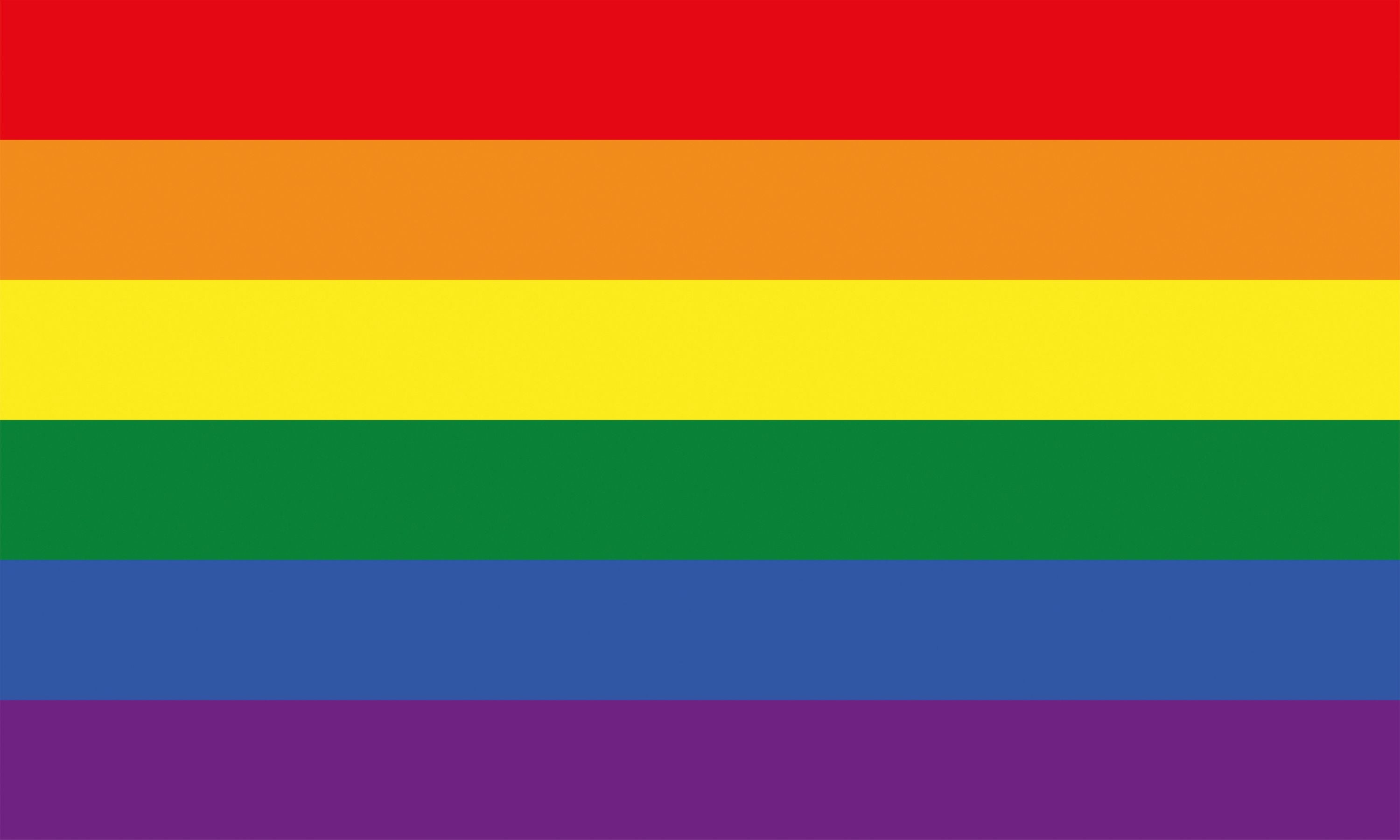 LGBT Pride Flagge – 90×150 cm Stofffahne mit Ösen für CSD & Festival