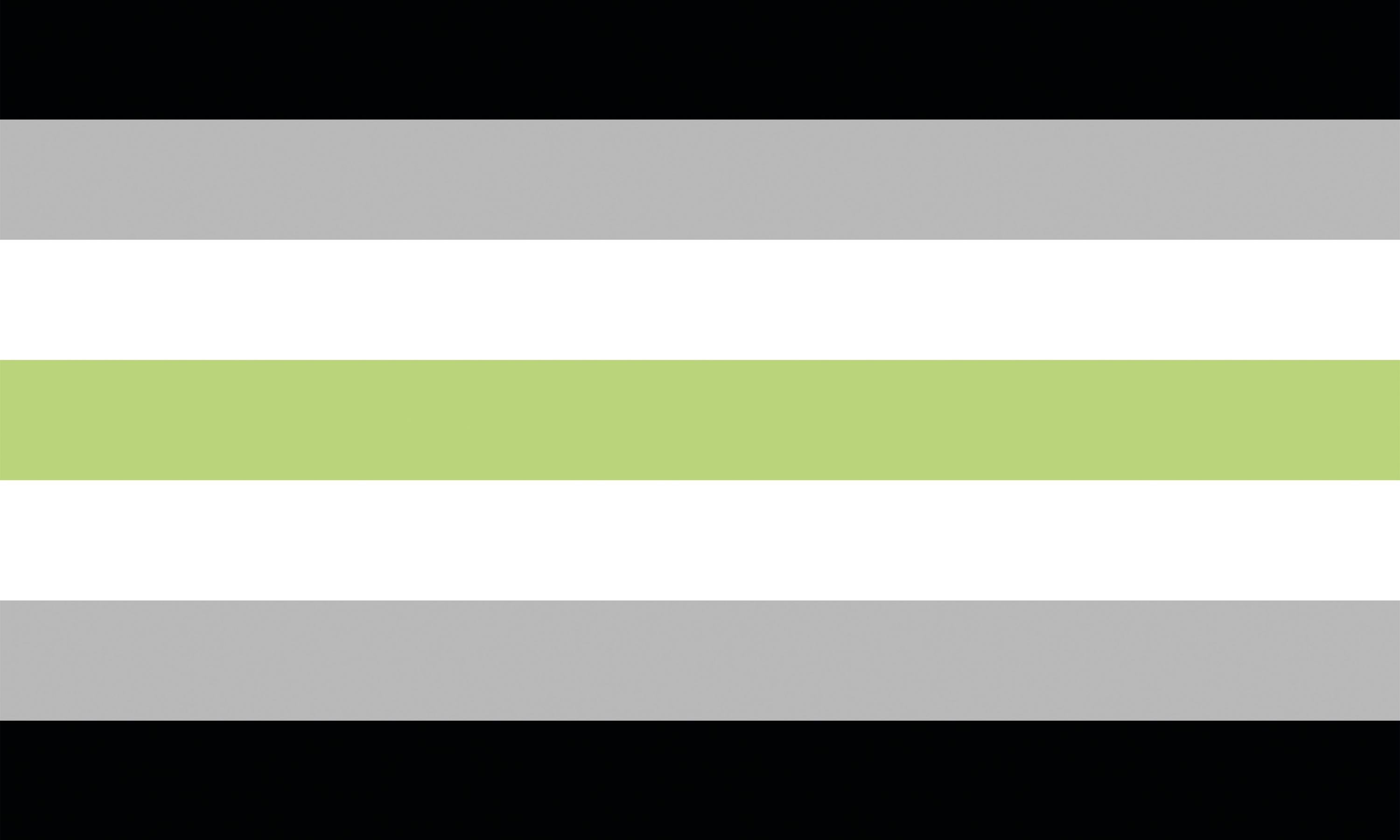 Agender Pride Flagge – 90×150 cm Stofffahne mit Ösen für CSD & Festival